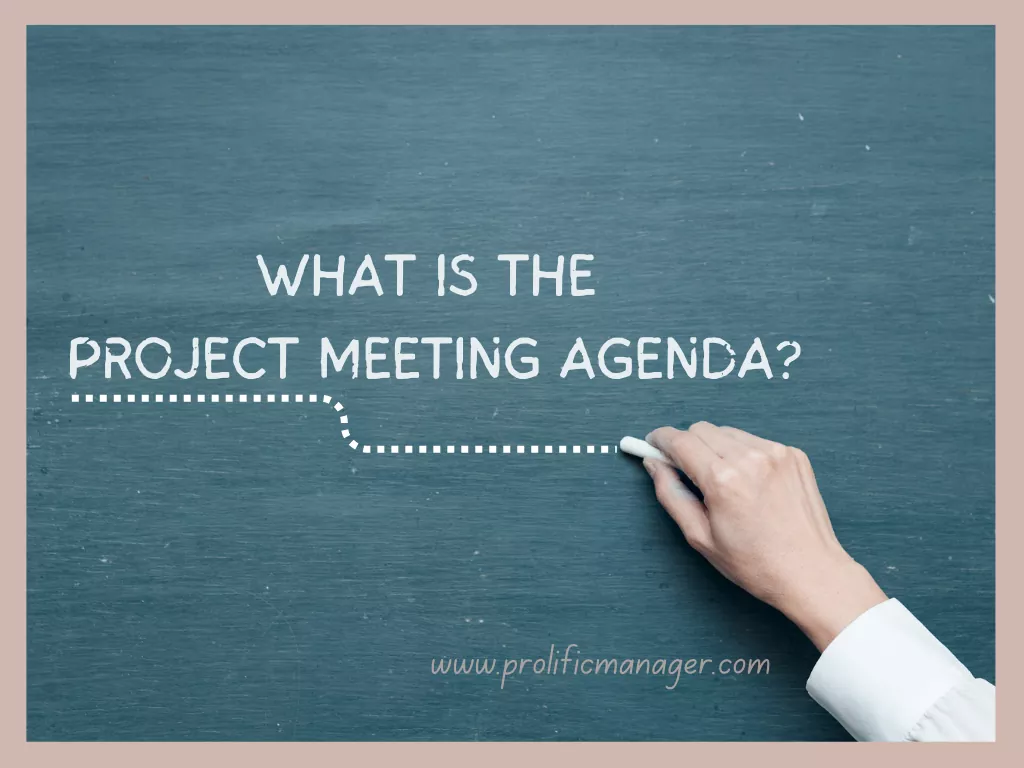 What is the project meeting agenda?